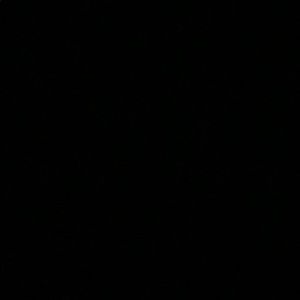 Meet your Posher, Mckenzie